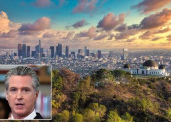 Newsom has destroyed California — but following Florida could save it