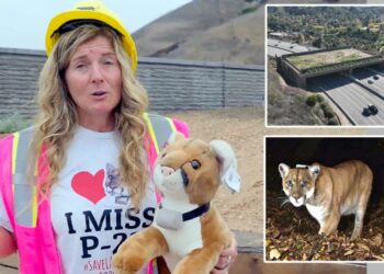 California’s ‘Bridge to Nowhere’ has cost you $77M so far — but expert says that’s just the start