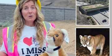 California’s ‘Bridge to Nowhere’ has cost you $77M so far — but expert says that’s just the start