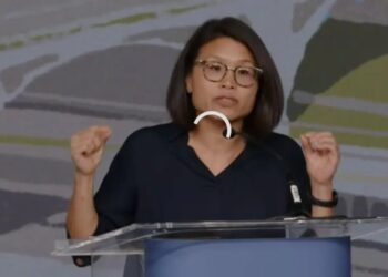 ‘Fix the audio!’ DSA debate turns into online trainwreck as broken livestream sparks viewer revolt