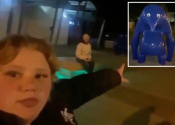 Woman who swallowed 3 liters of vodka pleads guilty to sticking googly eyes on $95K blob-like sculpture