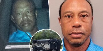 Tiger Woods’ PGA peers push for ‘accountability’ after golf icon’s DUI arrest