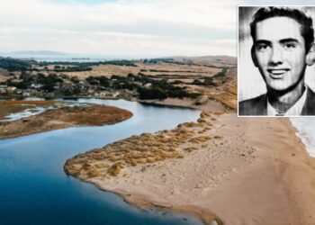 Severed leg found on remote California beach is traced back to missing banker