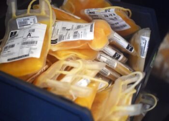 How Safe Is Plasma Donation?