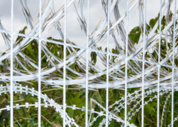 I Declare War on You