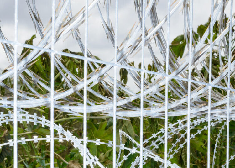 I Declare War on You