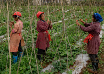 At China’s Big Political Meeting, a Rare Debate About Inequality