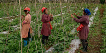 At China’s Big Political Meeting, a Rare Debate About Inequality