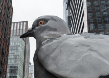A Giant Pigeon Is Leaving the High Line