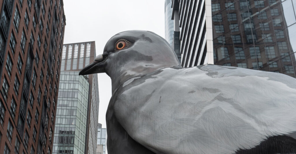 A Giant Pigeon Is Leaving the High Line
