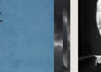 ‘I’m Flabbergasted by the Relentless Pessimism’: 3 Opinion Writers on Iran