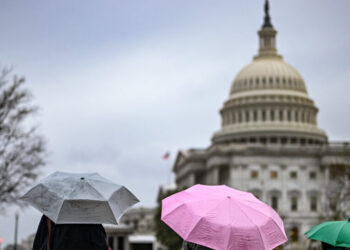It Was 86. Then It Snowed. A ‘Wild’ Weather Shift Jolts the Mid-Atlantic.