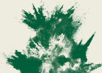 The Political Cost of Trump’s War