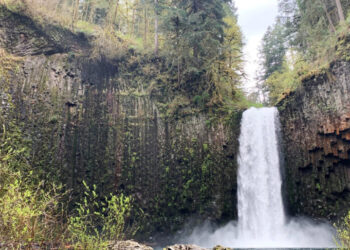 Oregon Waterfall Listed on a Real Estate Site Draws a State Offer