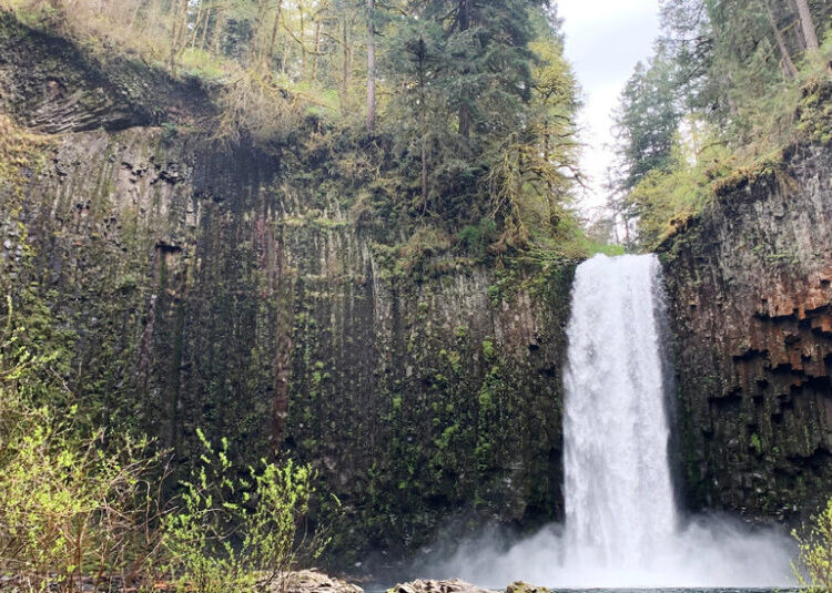 Oregon Waterfall Listed on a Real Estate Site Draws a State Offer