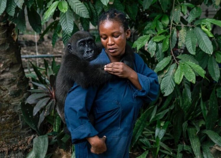 The Race to Stop Wildlife Trafficking in Africa