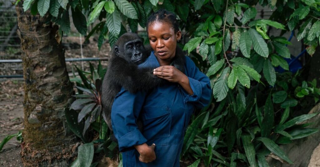 The Race to Stop Wildlife Trafficking in Africa