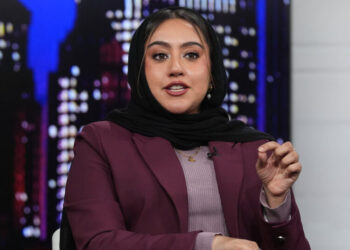 Why a House Candidate in Illinois Is Attacking an Ad Praising Her