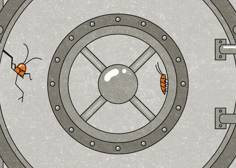 Fears of ‘Cockroaches’ in the Private Credit Market