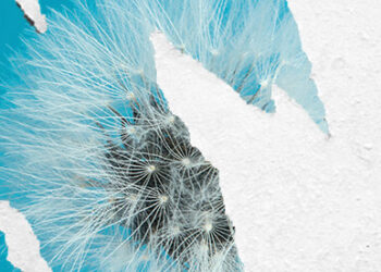 Don’t Put Your Hopes on a New Middle East