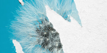 Don’t Put Your Hopes on a New Middle East