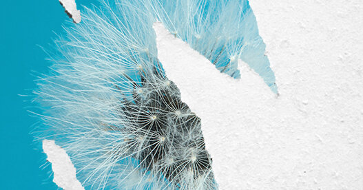 Don’t Put Your Hopes on a New Middle East