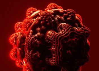 Bacteria Engineered to Eat Tumors From the Inside