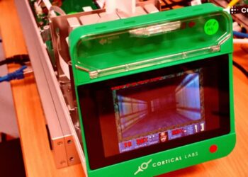 Researchers Get Human Brain Cells Running Doom