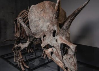 Billionaires’ latest luxury asset class is dinosaur bones, boosted by Pharrell’s new auction platform