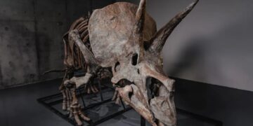 Billionaires’ latest luxury asset class is dinosaur bones, boosted by Pharrell’s new auction platform