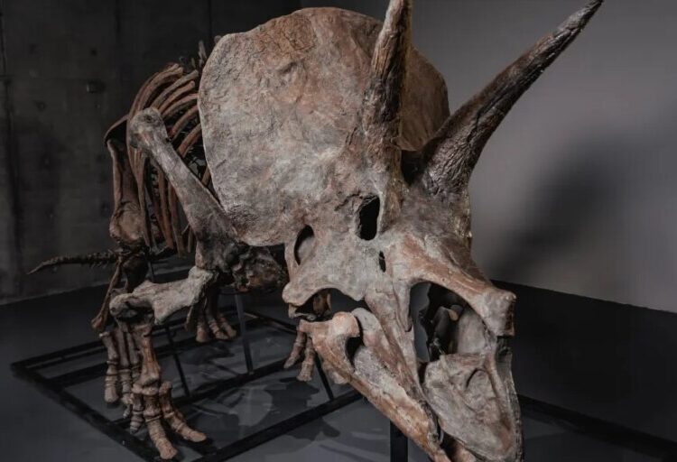 Billionaires’ latest luxury asset class is dinosaur bones, boosted by Pharrell’s new auction platform