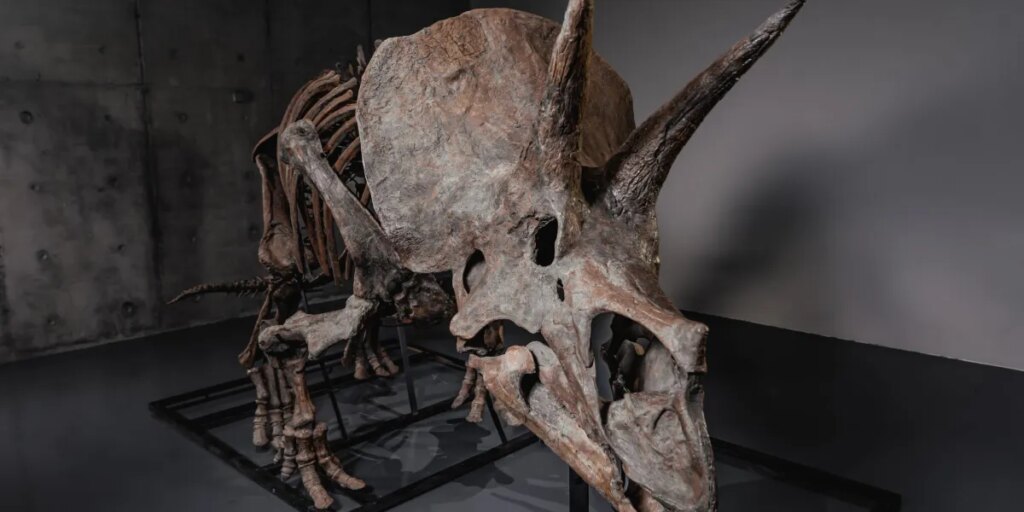 Billionaires’ latest luxury asset class is dinosaur bones, boosted by Pharrell’s new auction platform