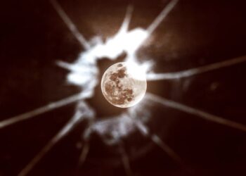 After Nixing Its Planned Moon Landing, NASA Is Starting to Seriously Lose the Moon Race to China