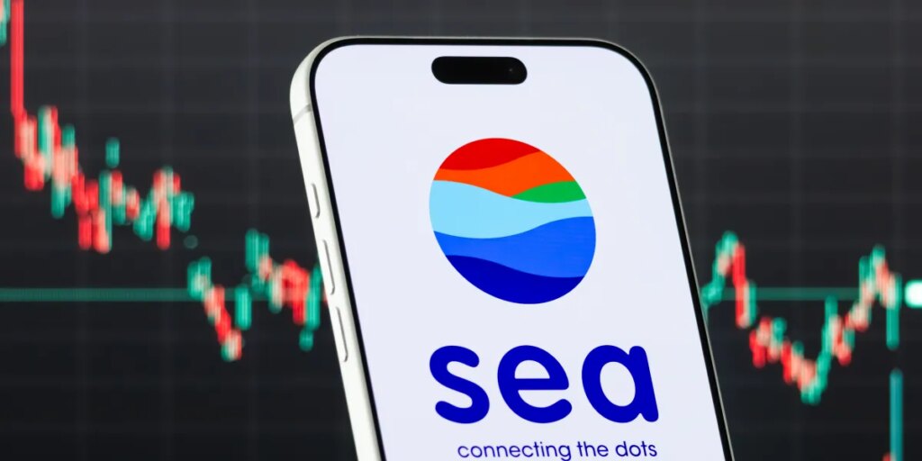 Sea doubles annual earnings, yet profitability worries drag shares down in worst drop in 2 years