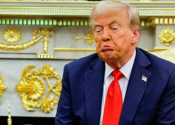 ‘Head unbowed’: Trump buried for showing ‘total disrespect’ at service for fallen soldiers