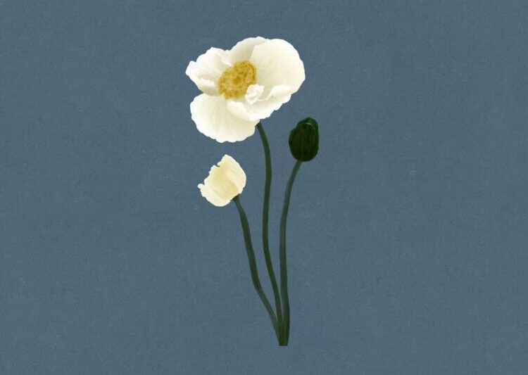 A Word for Our Troubled Times