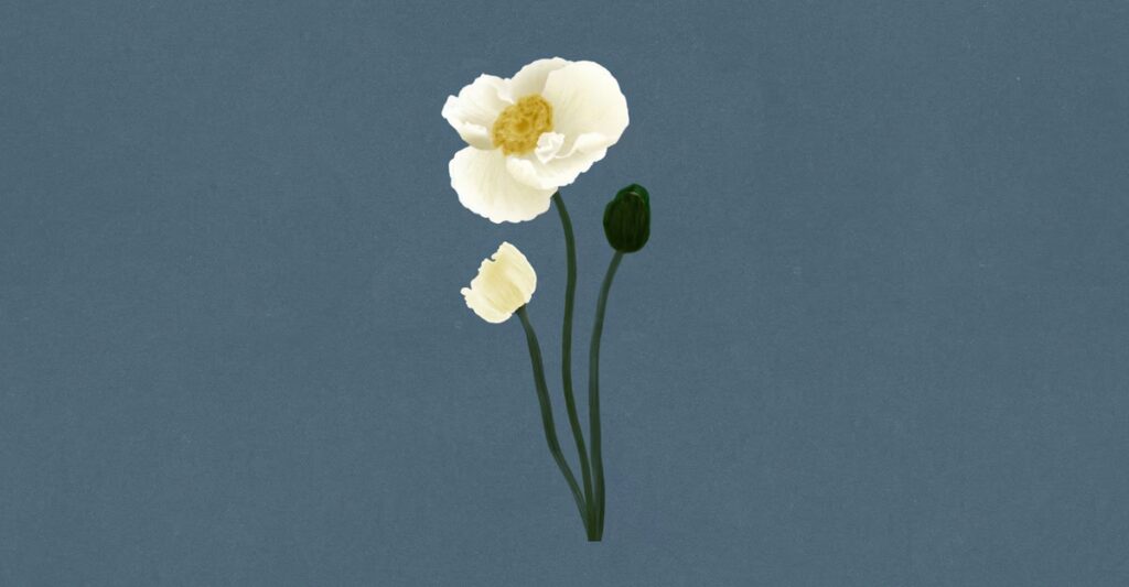 A Word for Our Troubled Times