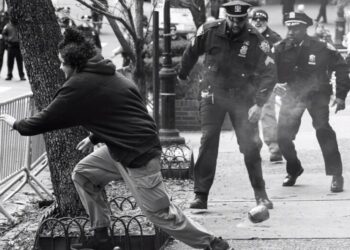 The Peculiar State of Islamic Terror in America