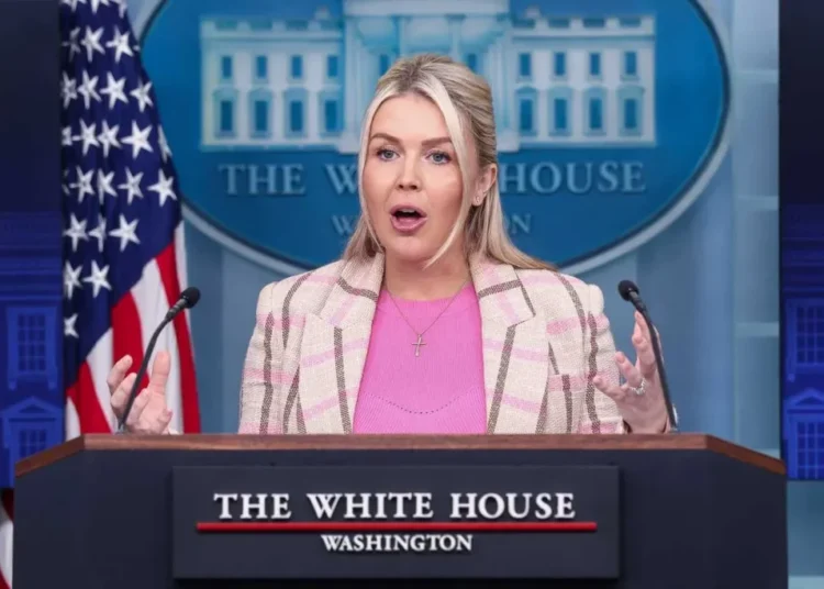 Leavitt confronts reporter during Iran briefing: ‘the president is not making this up!’