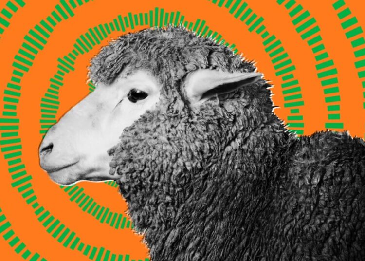 US Military Tested Havana Syndrome Weapon on Large Mammals, Whistleblowers Says