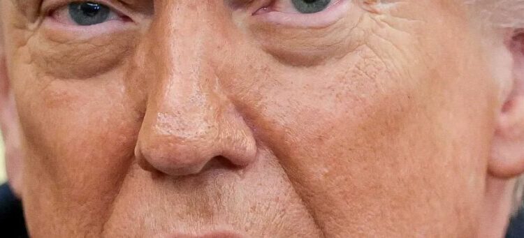 Trump knows this damning truth will sink him no matter how many bombs he drops