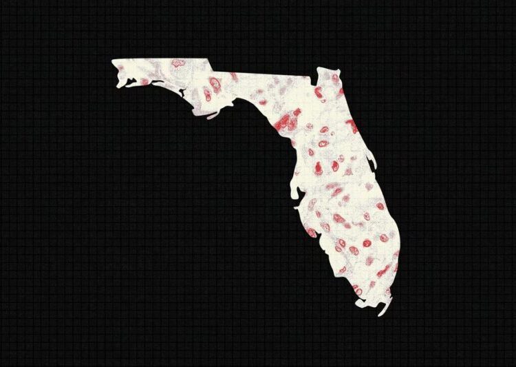 Florida Is Trying to Ignore Measles Until It Can’t