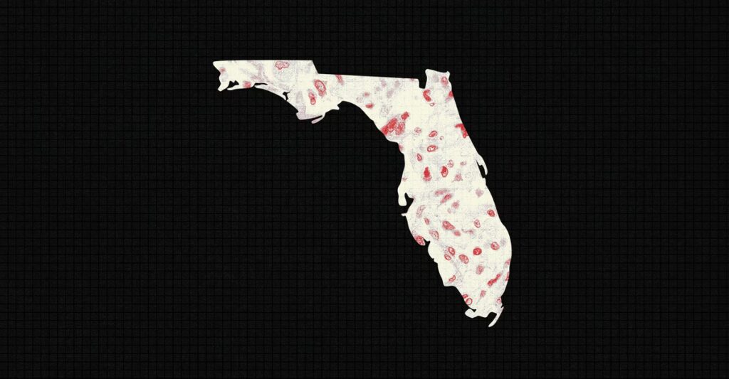 Florida Is Trying to Ignore Measles Until It Can’t