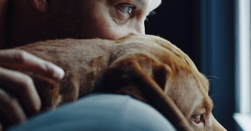 How Have Pets Made Your Life Better?