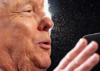 ‘His brain has deteriorated’: Trump ridiculed for undercutting own claim in panicked plea