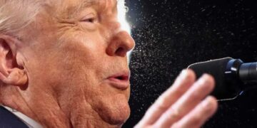 ‘His brain has deteriorated’: Trump ridiculed for undercutting own claim in panicked plea