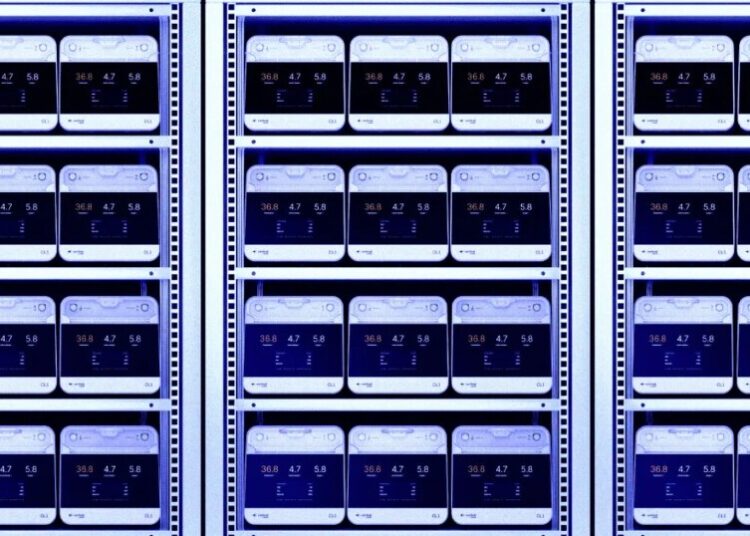 New Data Centers Will Be Powered by Human Brain Cells