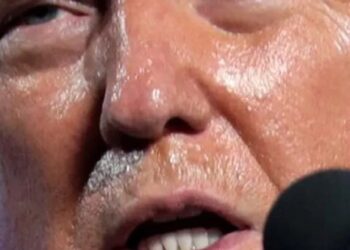 ‘Wow’: Observers horrified by ‘scary’ Trump brag showing he’s following ‘Putin’s playbook’