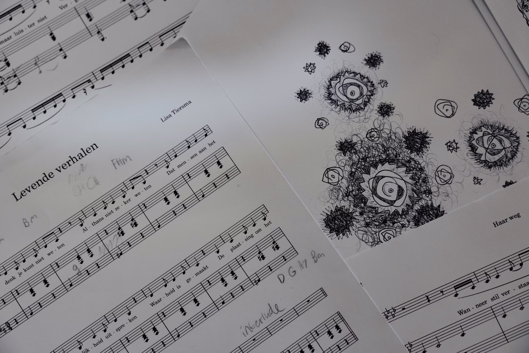 2026-03-13_oosterhoff -2.jpg