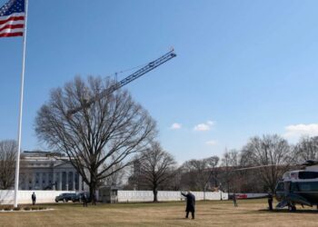 Architects ‘horrified’ at Trump admin’s new pitch for White House makeover: report